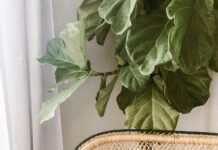 DIY Decor Projects that Add Your Personal Touch