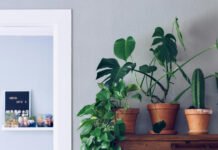 Minimalist Magic: A Contemporary Studio Apartment